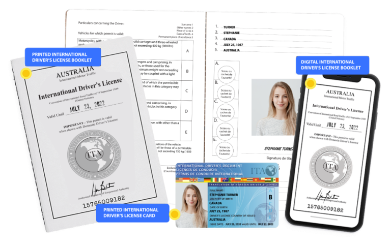 An International Driver's License will help you rent and drive vehicles.